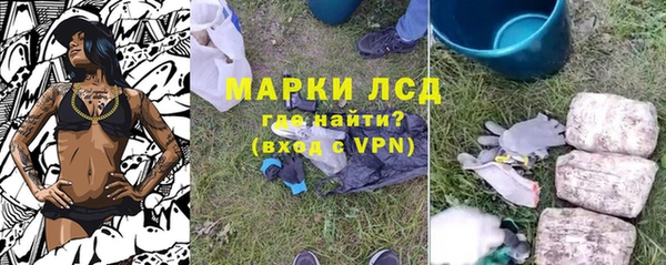 прущий лед Пересвет