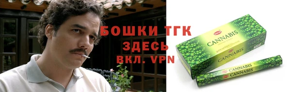 ГАЛЛЮЦИНОГЕННЫЕ ГРИБЫ Переславль-Залесский
