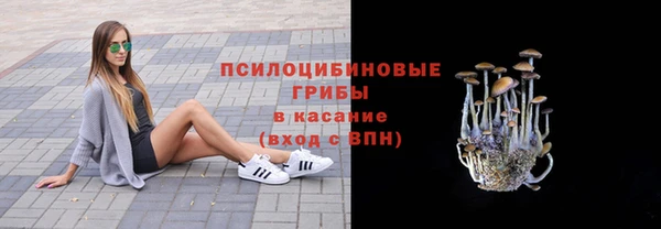 ГАЛЛЮЦИНОГЕННЫЕ ГРИБЫ Переславль-Залесский