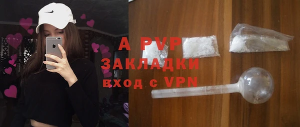 ГАЛЛЮЦИНОГЕННЫЕ ГРИБЫ Переславль-Залесский