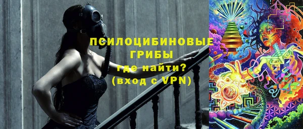 ГАЛЛЮЦИНОГЕННЫЕ ГРИБЫ Переславль-Залесский