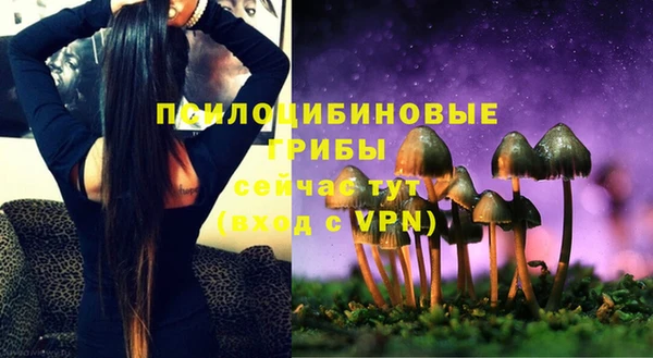 прущий лед Пересвет